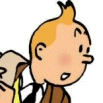 nztintin