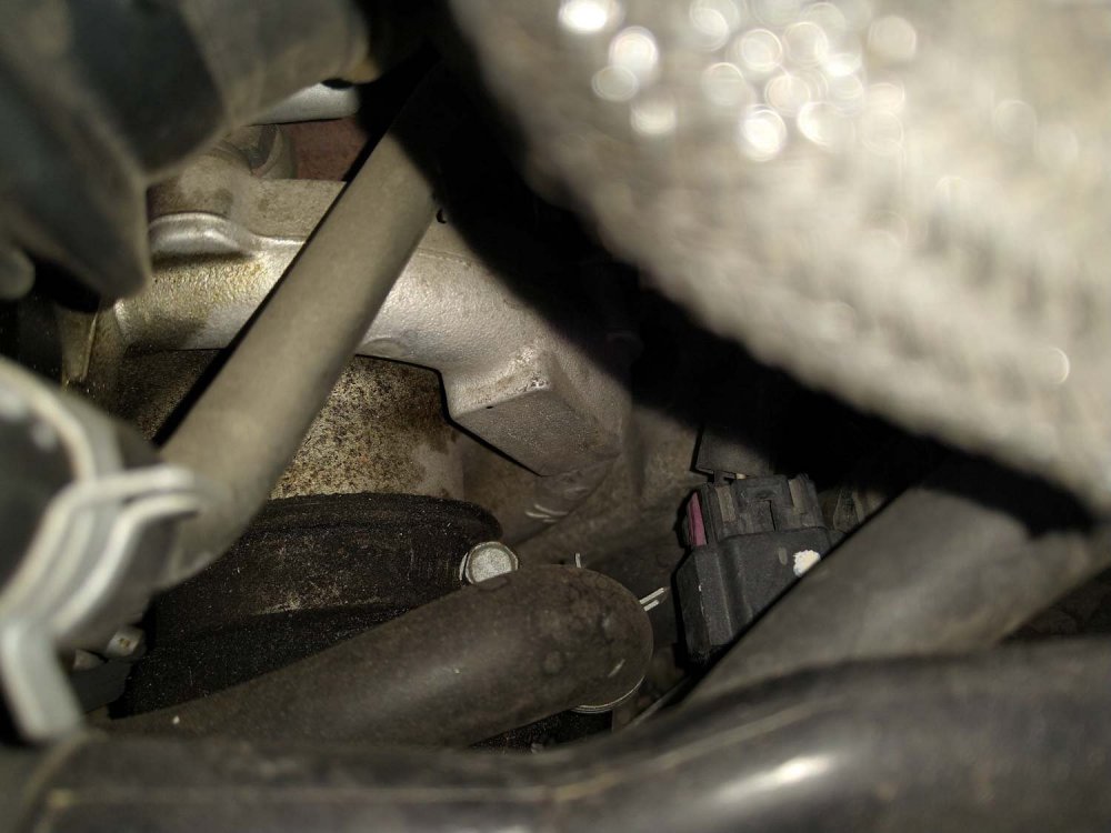 PSX_20200905_111446.jpg
