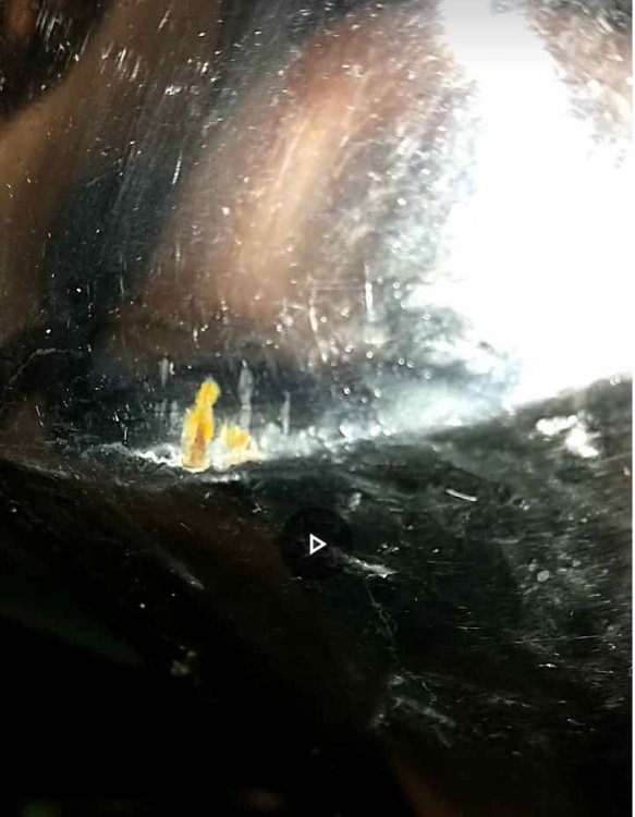 8114610_Muffler2.thumb.jpg.51222652a735b3e25adb4ff76569836a.jpg